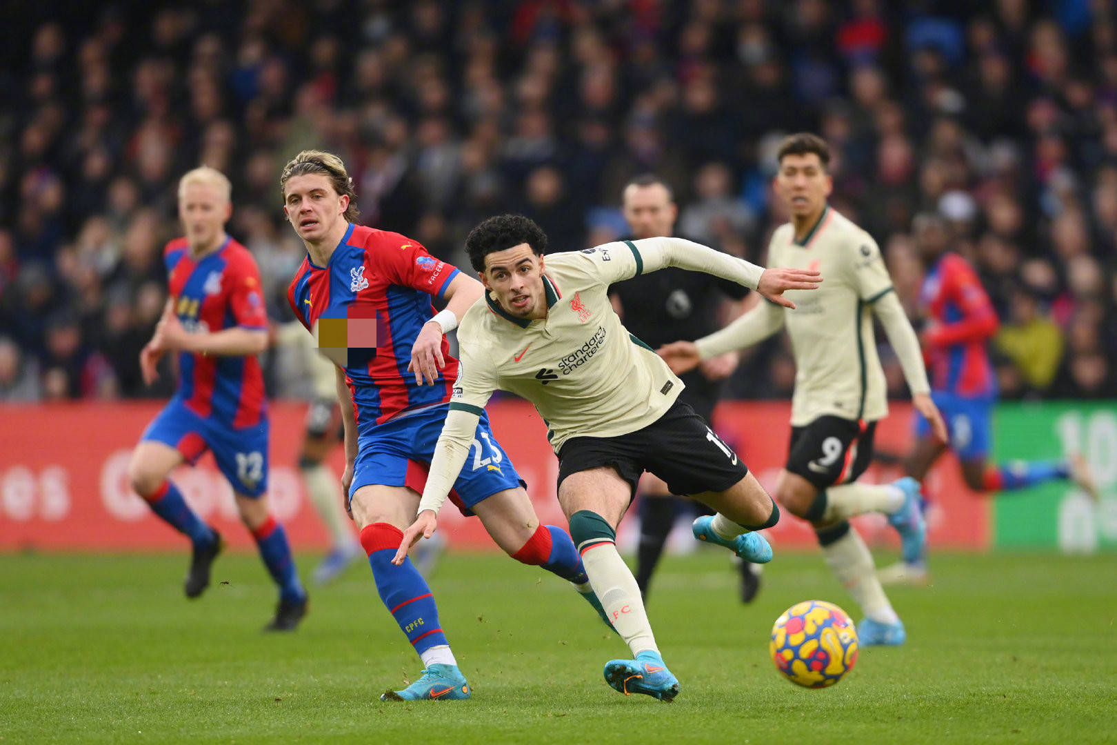 总冠军背景 总冠军背景